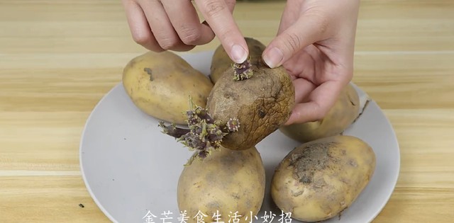 土豆怎么储存不长芽子，保存土豆的最佳方法图解