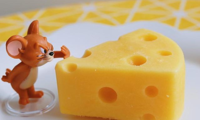 干酪和芝士是一样的东西吗，奶酪芝士干酪乳酪起司的区别
