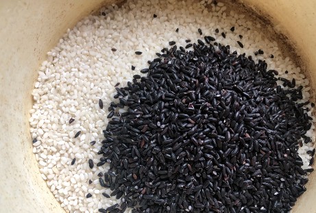 黑米可以蒸米饭吗，蒸黑米饭的窍门及做法