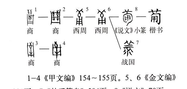 甯怎么读什么意思，说文解字课程详解