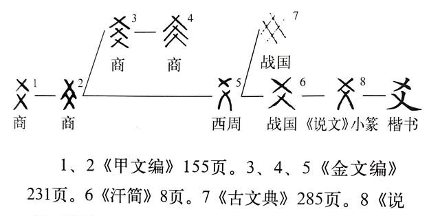 甯怎么读什么意思，说文解字课程详解