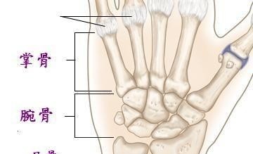 腕骨的准确位置及功效，关于腕骨穴的知识分享