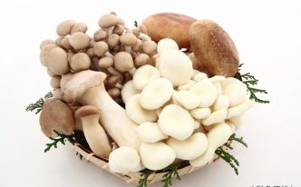 鲜蘑菇应该如何保存 详细介绍：鲜蘑菇长期保存的3个方法