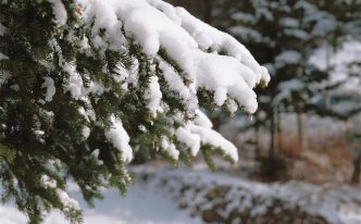 关于冬季的节气有哪些 最新冬天6个节气及英语表达范文