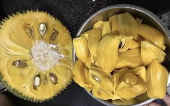 水果菠萝蜜的安全剥法是什么 推荐菠萝蜜的正确剥法及注意事项