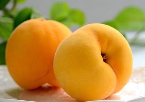 桃子季节是几月份食物水果，哪种桃子的营养价值高