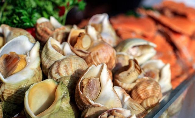 海螺煮多久多长时间最好吃，吃海螺的注意事项