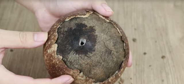 椰子的三个孔怎么找，开椰子取椰肉的方法