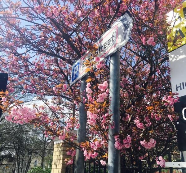 初一到十五的规矩和忌讳，民间九种习俗及九种禁忌