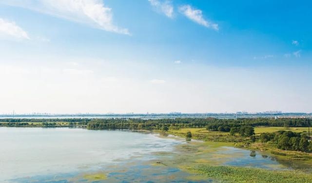 阳澄湖大闸蟹好吃吗，正宗阳澄湖大闸蟹高清美图