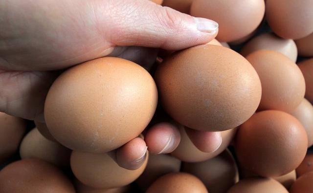 买鸡蛋怎样识别人造鸡蛋真假，辨别人造蛋的5大绝招