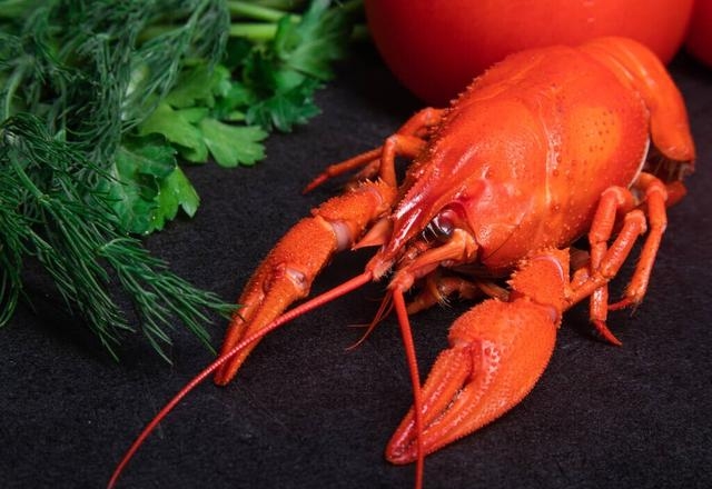 龙虾放一晚上会死吗还能吃吗，小龙虾储存的最佳方法