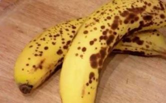 香蕉皮变黑了还能吃吗「最新香蕉皮变黑的原因及保存方法」