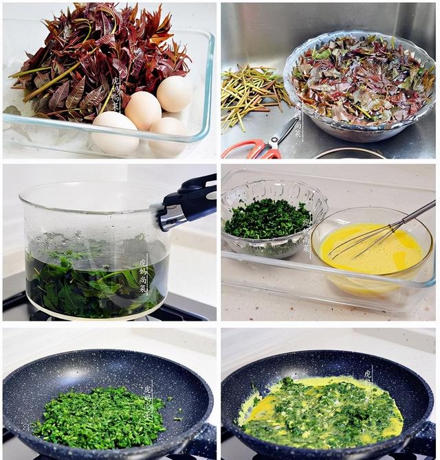 香椿水饺馅的做法大全，香椿清鲜健脾的16种制作方法