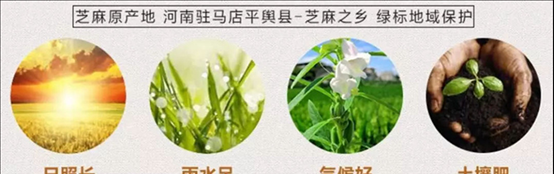 黑芝麻酱和白芝麻酱的区别是什么，黑白芝麻酱营养价值介绍