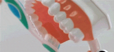 巴氏刷牙正确方法怎么做，巴氏刷牙法的动图解说
