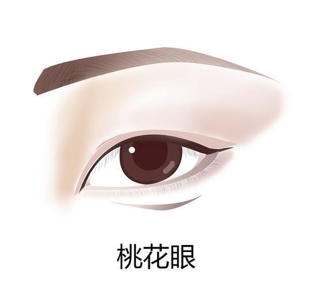男女二十种眼形大全图解，中国人常见7种眼型图片