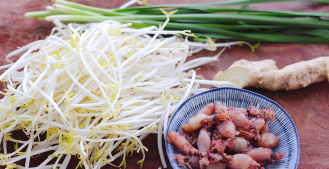 海兔的营养价值是什么，海兔绿豆芽小炒的做法教程