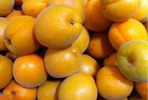 什么水果补钙效果最好，杏的补钙效果及注意事项