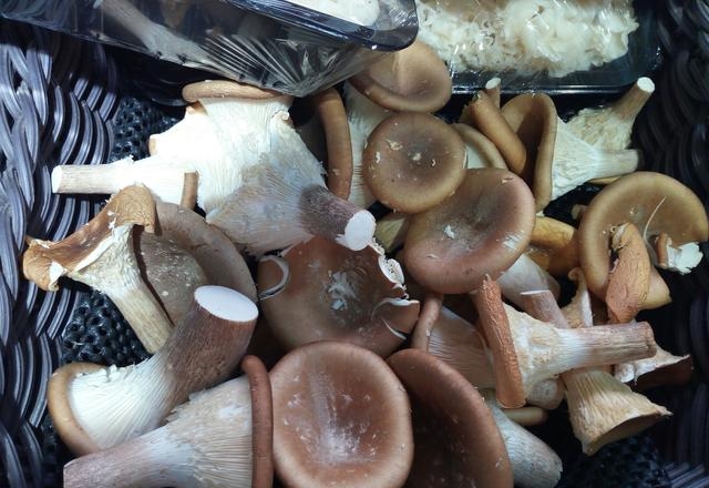 蘑菇种类大全及图片，菜市场菌类大汇总