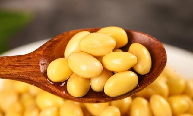 黄豆是凉性还是热性，黄豆的营养价值及功效