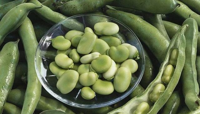 新鲜的蚕豆怎么保存时间长，新鲜蚕豆的保存方法