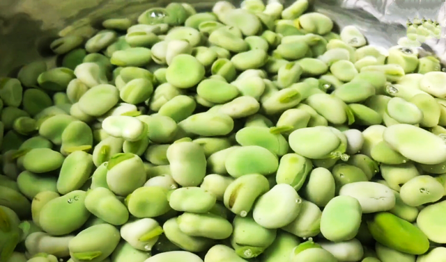 新鲜的蚕豆怎么保存时间长，新鲜蚕豆的保存方法