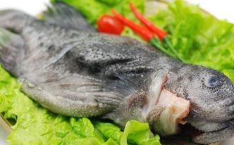 石斑鱼的营养价值及作用 新手必看：食用石斑鱼的4个作用