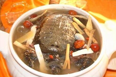 甲鱼是凉性还是热性，甲鱼汤的做法教程
