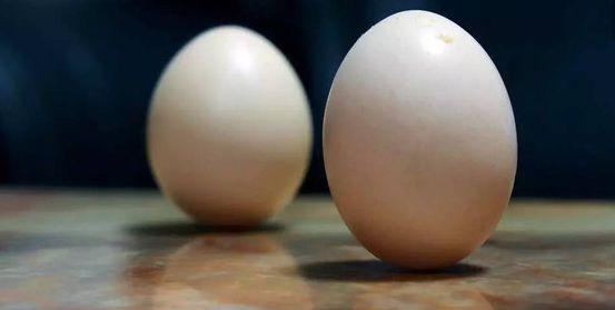 鸡蛋立起来的原理，竖蛋的原理解释