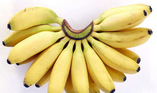 帝王蕉和普通香蕉区别，皇帝蕉价格多少钱一斤