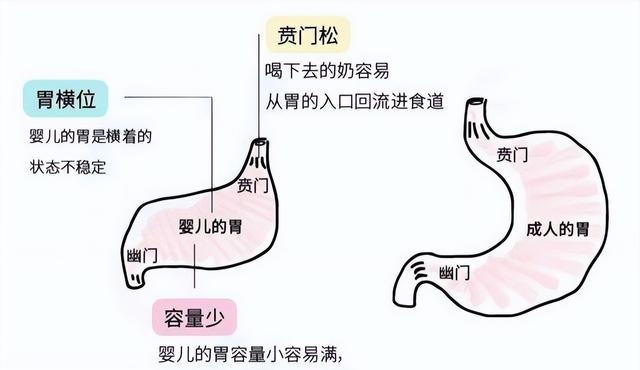 新生婴儿吐奶怎么解决，教你正确应对和预防