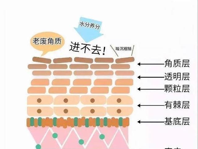 去角质对皮肤有什么好处，皮肤正确去角质的好处分享