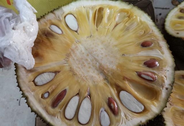 菠萝蜜的汁液粘在手上怎么去除，菠萝蜜的树胶清洗的三种方法