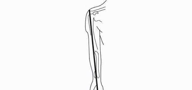 腿长怎么量从哪到哪图解，肢体长度的测量方法