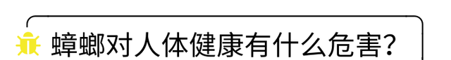 驱赶蟑螂最有效的方法是什么，蟑螂对人体的危害及消灭办法