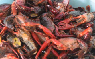 龙虾的做法大全 详细讲解：小龙虾5种最好吃的做法