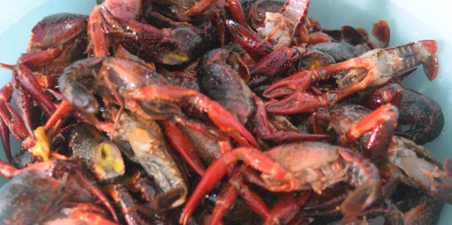 龙虾的做法大全，小龙虾5种最好吃的做法