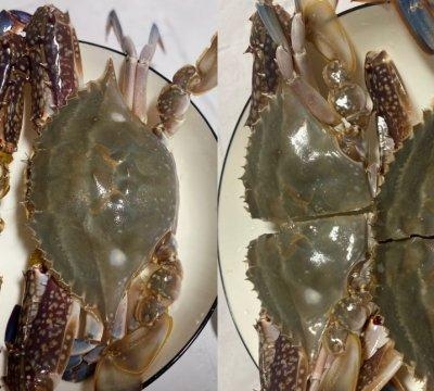 梭子蟹怎么做好吃又简单，家常红烧梭子蟹烹饪方法