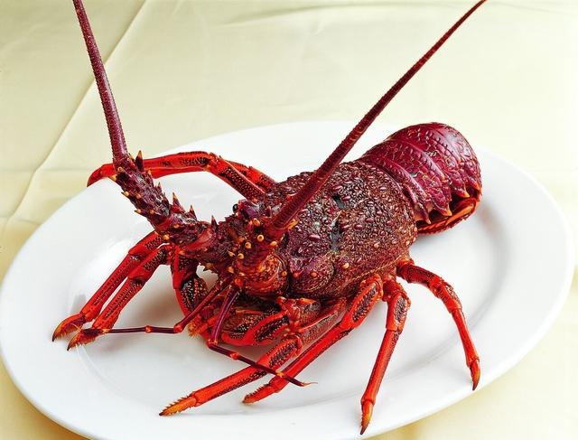 龙虾要烧多久才好吃，烹饪龙虾的注意事项
