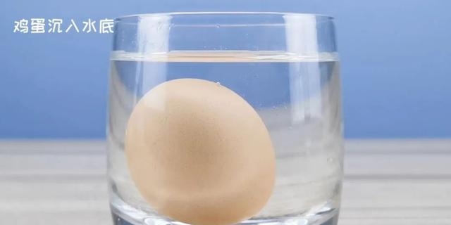 漂浮的鸡蛋原理是什么，漂浮的鸡蛋实验操作步骤分享