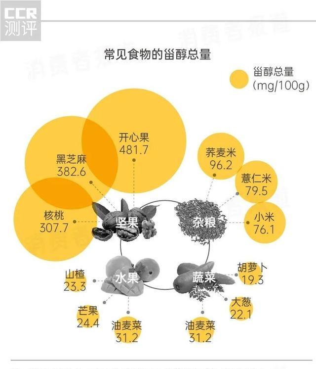 压榨油哪个牌子好吃，10款菜籽油测试结果