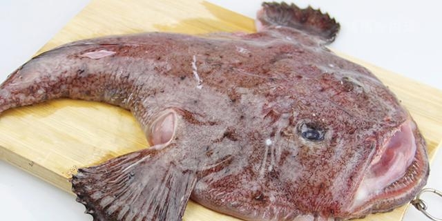 黄花鱼是深海鱼吗，分享必备的海鲜挑选小技巧