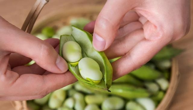 新鲜蚕豆怎么保存时间长，蚕豆保鲜的小妙招