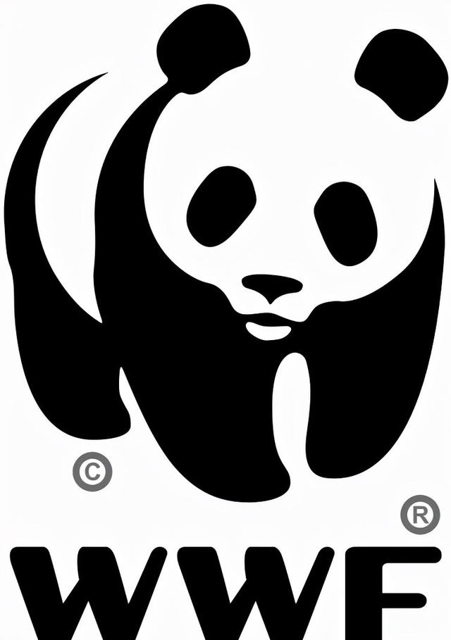 熊猫的样子和生活特点是什么，大熊猫有哪些生活习性及图片