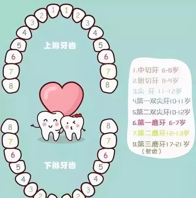 小孩掉牙齿的最佳年龄是多少，全网最全儿童换牙时间表