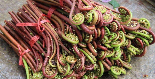 蕨菜怎么做好吃，推荐蕨菜5种最好吃的做法