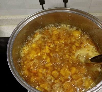 枇杷膏怎么制作最好，纯手工制作枇杷膏做法图解