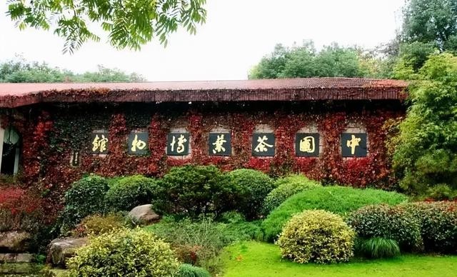 杭州自然博物馆值得去吗，盘点杭州10大必去的博物馆