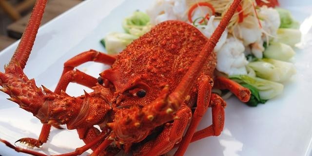 波士顿龙虾和澳洲龙虾哪个贵些，澳洲龙虾比波士顿龙虾贵的原因